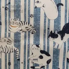 猫さん ストライプ A