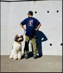 SUPREMEウォームアップパンツSオリーブキムタク着私物シュプリーム