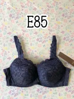 ウィング レシアージュ 3010シリーズ ブラ E85