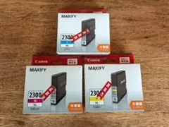 Item thumbnail for item 404c8a3c-25d1-4357-9ef0-303e98f4b647