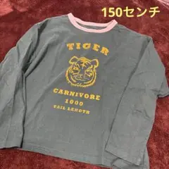 Item thumbnail for item 7b3f7120-6f7a-49fb-8490-c2c5bd37c388