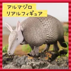 【✨新品未使用✨】アルマジロ フィギュア リアル 動物 ZOO PVC グレー
