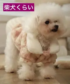 Item thumbnail for item 86fc7831-3f17-4c02-a6e2-60ff29253747