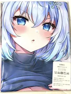 りゅうおうのおしごと! 空銀子 描き下ろしB2タペストリー 2025年最新】りゅうおうのおしごと タペストリー 銀子の人気