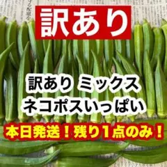 【訳あり】高知県産オクラ 即購入OK