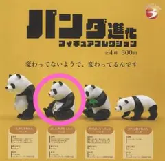 パンダ ガチャ　進化フィギュアコレクション　試しに刺青を入れたパンダ　動物
