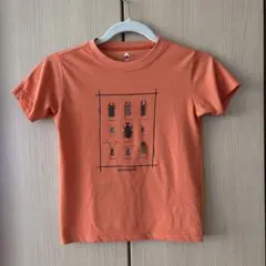 mont-bell 昆虫プリント Tシャツ オレンジ