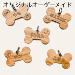 Item thumbnail for item 8e13cf1e-8cd9-4946-83e5-e98f94a8594a