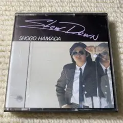 帯つき・激レア【美品MD】浜田省吾 / SLOW DOWN　SRYL-7227 帯つき・激レア【美品MD】浜田省吾 / SLOW DOWN SRYL-7227