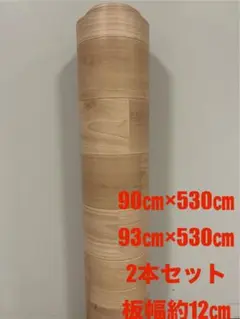 Item thumbnail for item c7c9cbf0-9628-4a36-8d4c-d5d79d523114