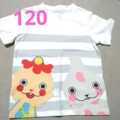 おとうさんといっしょ　Tシャツ120