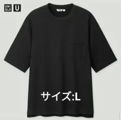 UNIQLO ブラック Tシャツ Lサイズ