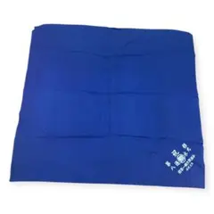 Item thumbnail for item 3741cdb5-4d66-4193-8a0f-492f7ded33b2