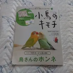 3冊セット①小鳥のキモチVol６②Vol７③LOVE!ことり