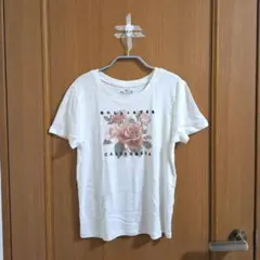 hollister お花プリント 半袖Tシャツ【S】