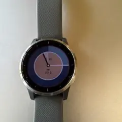 GARMIN VIVOACTIVE 4 グレー