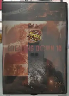 ブレイキングダウン10 DVD