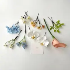 Item thumbnail for item 59307bac-e546-4aea-98ed-21eb2b995a0e