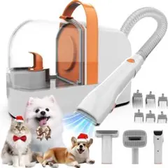 Item thumbnail for item 22f99408-15bd-497f-a579-ea480e04c636