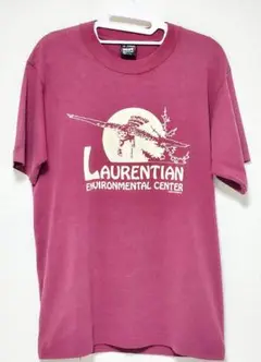 極上/美品/稀少/USA製Tシャツ/ヴィンテージ/90's/フルーツオブザルーム