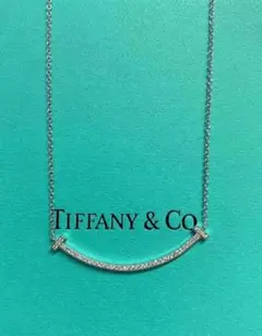 Tiffany & Co. バータイプネックレス
