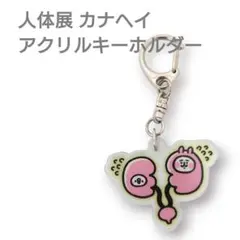 カナヘイ　かなへい　人体の不思議展　人体展　胃うさぎ　ホネうさぎ　ぬいぐるみ カナヘイ かなへい 人体の不思議展 人体展 胃うさぎ ホネうさぎ