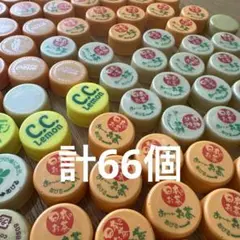 オレンジ•イエロー系 ペットボトルキャップ 計66個