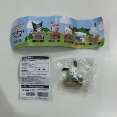 新品 ダンボールウォッチ ポチャッコ ガチャガチャ