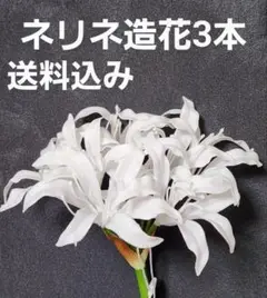 Item thumbnail for item c5d0e32a-6f7c-4c1e-9aa2-a4f2f658d0ad