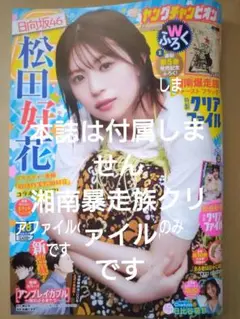 ヤングチャンピオン 付録のみ