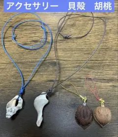 【新品未使用品】アクセサリー　オニグルミ　貝殻　2セット　ハンドメイド