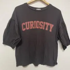 Honeys Tシャツ ダークブラウン グレージュ