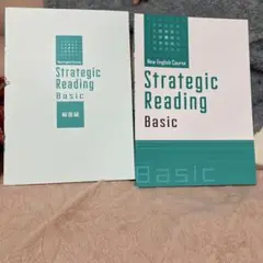 New English Course Strategic Reading Bas