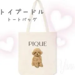 新品⭐︎gelatopique  トイプードル柄　レッスンバッグ　ジェラーピケ gelato pique - 【新品】ジェラートピケ トイプードル柄