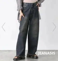 JEANASIS ジーナシス グランジカーブデニム