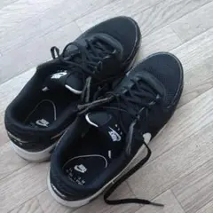 Nike Air Max 黒 スニーカー