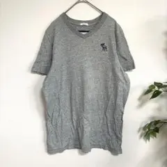 アバクロンビーアンドフィッチ　半袖Tシャツ Vネック 鹿　ワンポイント 夏　M