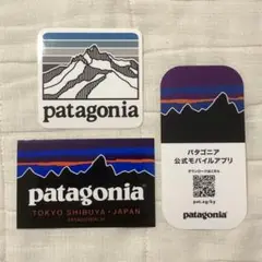 新品/パタゴニア (東京渋谷店限定)公式ステッカー 3枚セット