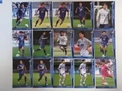 2016 町田ゼルビア　トレーディングカード