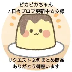 ピカピカちゃん⭐︎日々プロフ更新中☆彡様 リクエスト 3点 まとめ商品