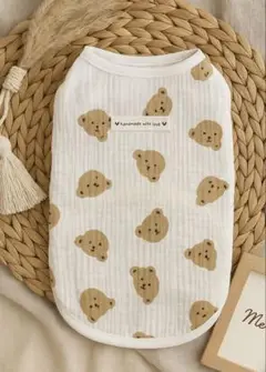 Item thumbnail for item 69a03cc7-bc4e-462f-a669-75168168afc9