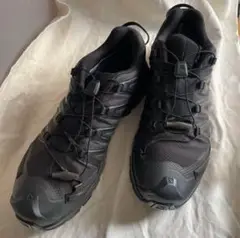 SALOMON XA PRO 3D GTX US9.5/27.5cm