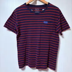 フルーツオブザルーム×ブルーブルー コラボ ボーダーTシャツ