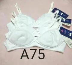 【新品】スクールブラ A75 3枚セット
