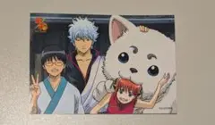 銀魂