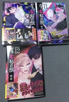 ガチ恋粘着獣　10〜12巻　続巻　マンガ　全12巻セット　漫画