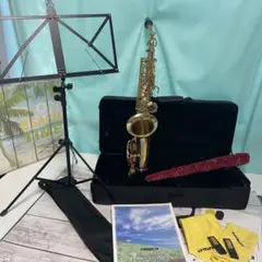 小野寺 【貴重】SAVALEY Saxophoneサバレイ アルトサックス 小野寺様専用 【貴重】SAVALEY Saxophoneサバレイ アルトサックス
