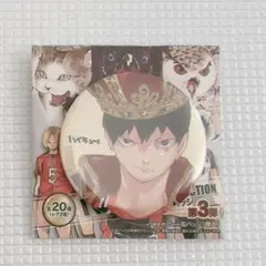 ハイキュー 影山飛雄 コレクション 缶バッジ 第3弾 王冠