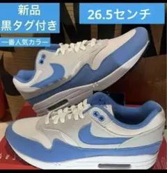 ナイキ　エアマックス1