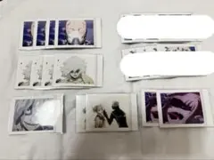 【まとめ売り】ヴィラン ぱしゃこれ